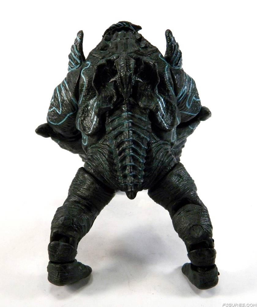 Pacific Rim