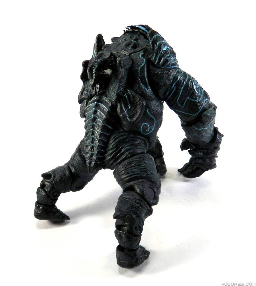 Pacific Rim