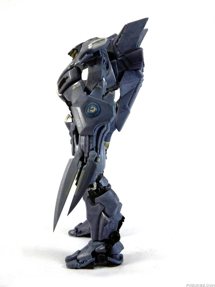 Pacific Rim