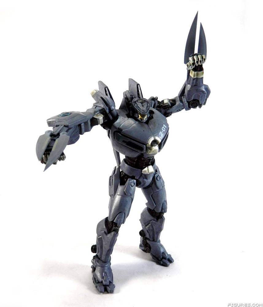 Pacific Rim