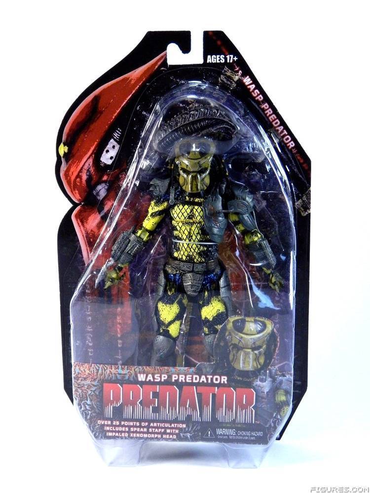 Wasp Predator