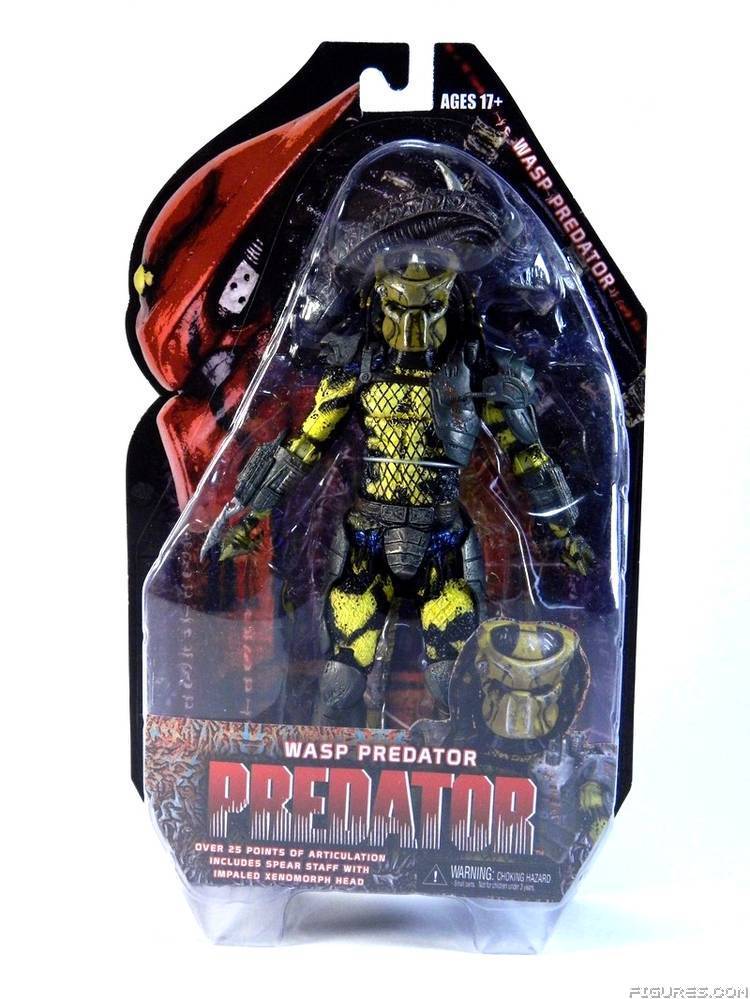 Wasp Predator