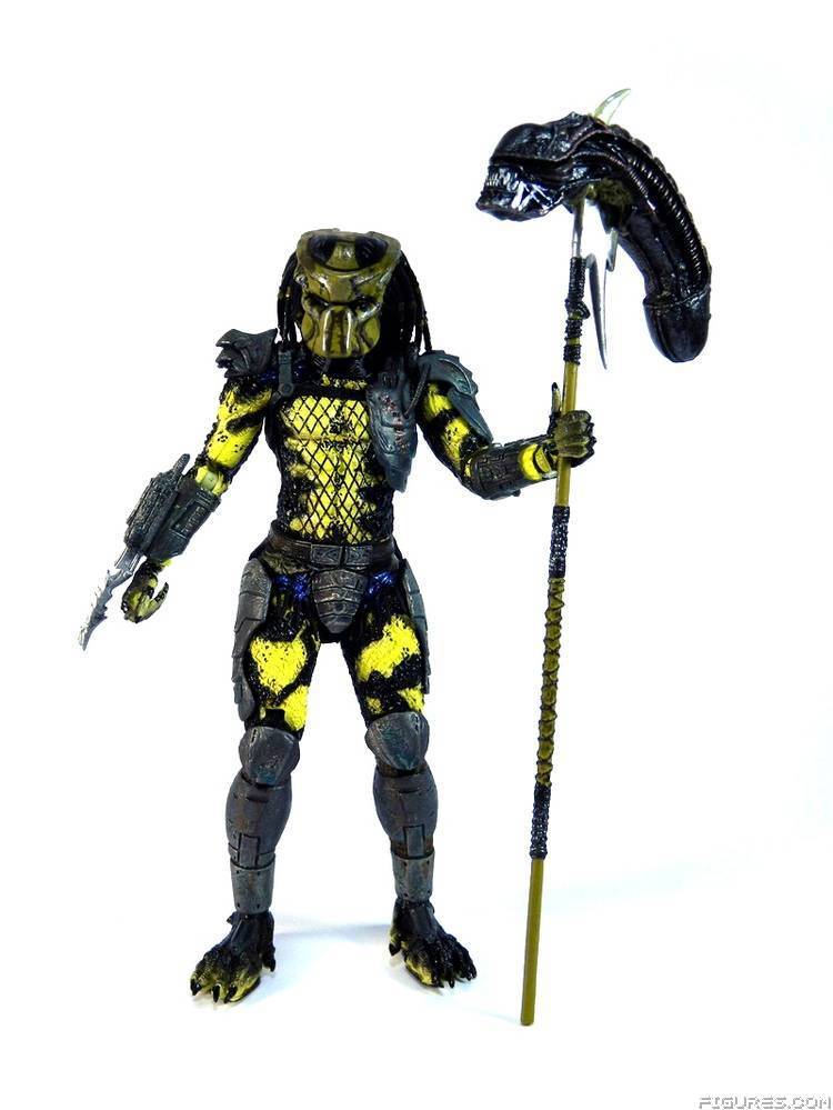 Wasp Predator