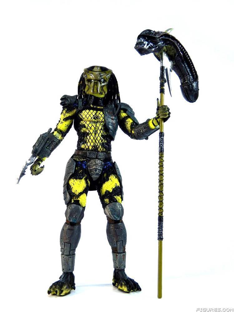 Wasp Predator