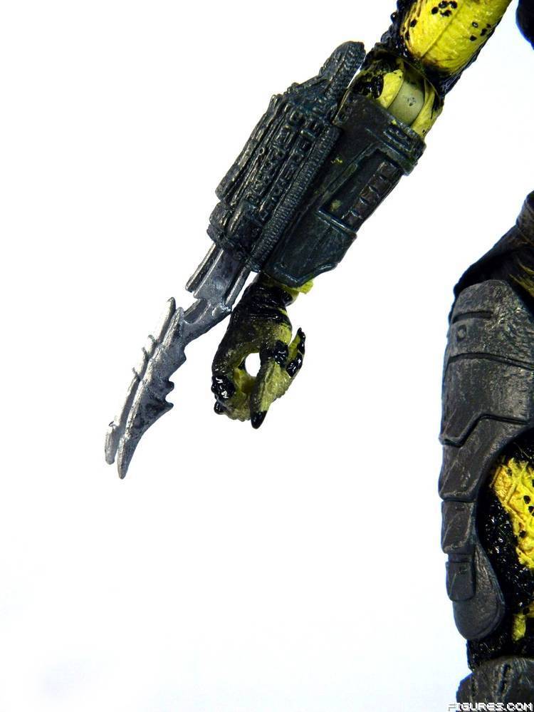Wasp Predator