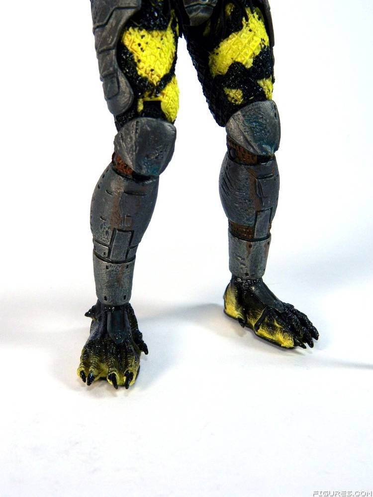 Wasp Predator
