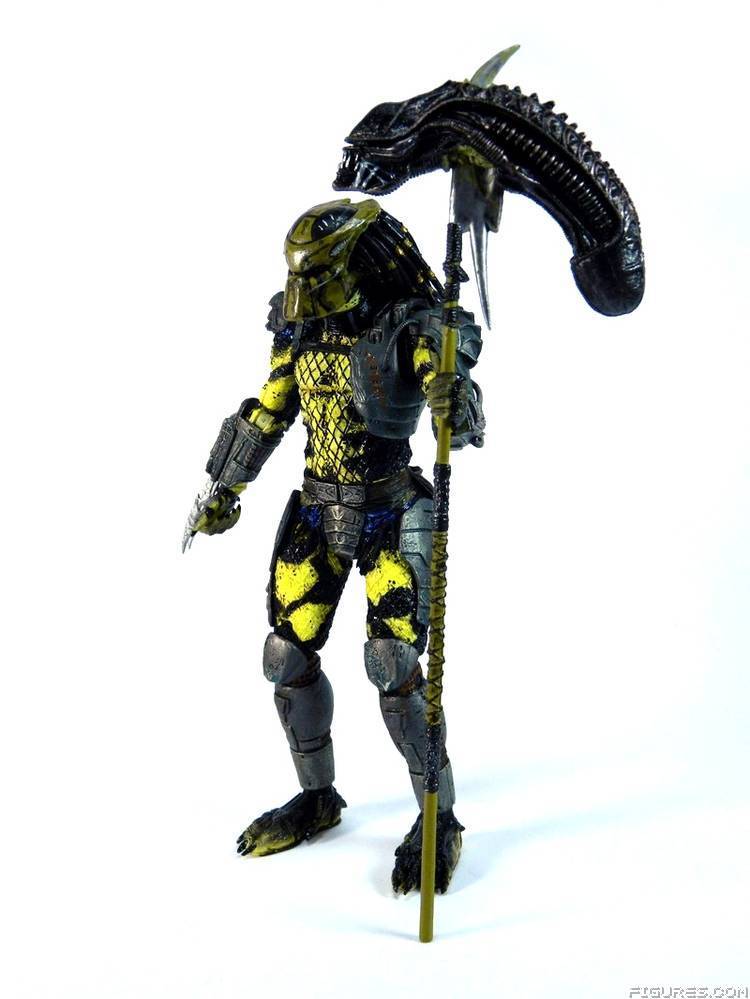 Wasp Predator