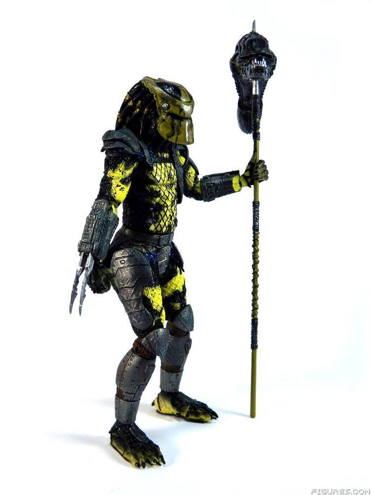 Wasp Predator