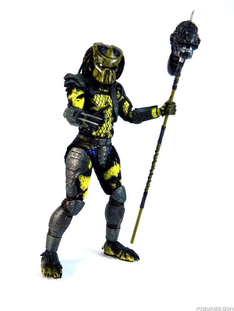 Wasp Predator