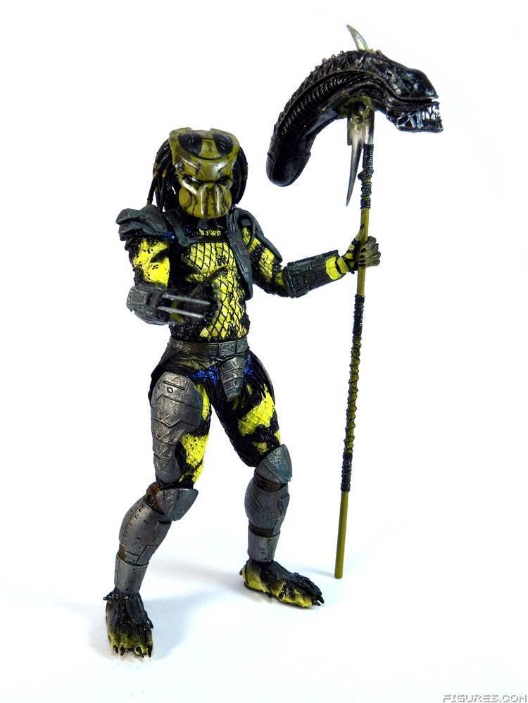 Wasp Predator