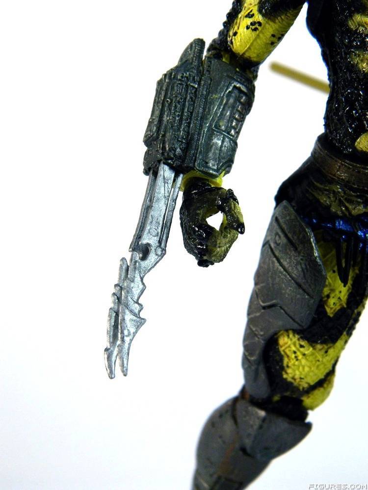 Wasp Predator