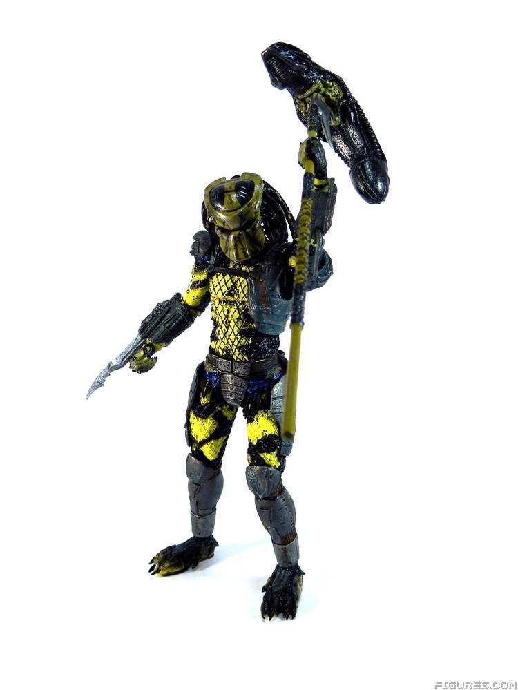 Wasp Predator