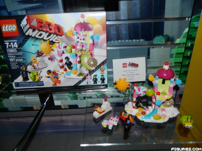 DSCN67641