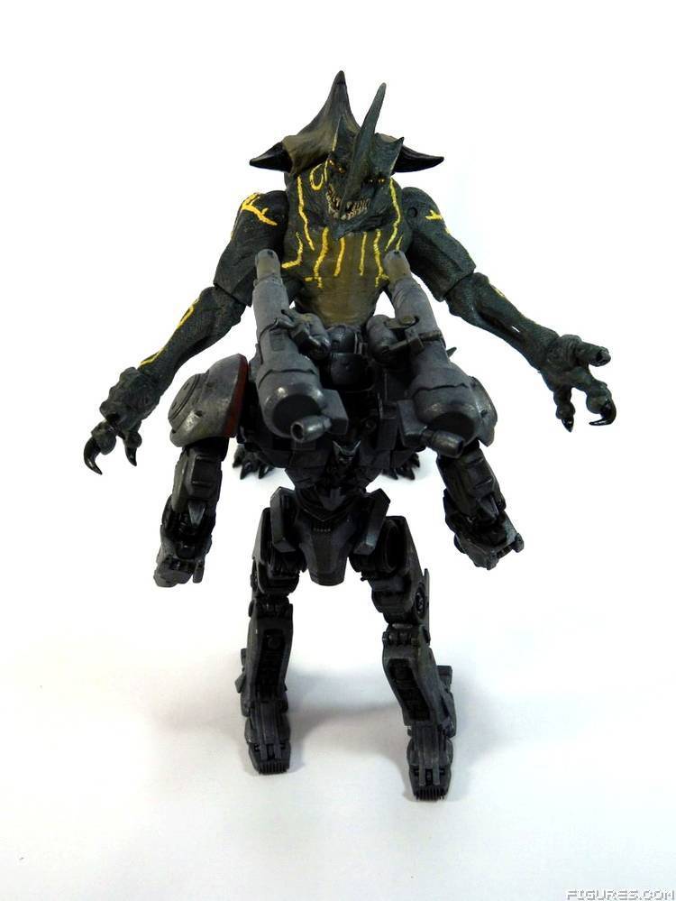 Pacific Rim