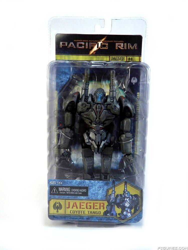 Pacific Rim