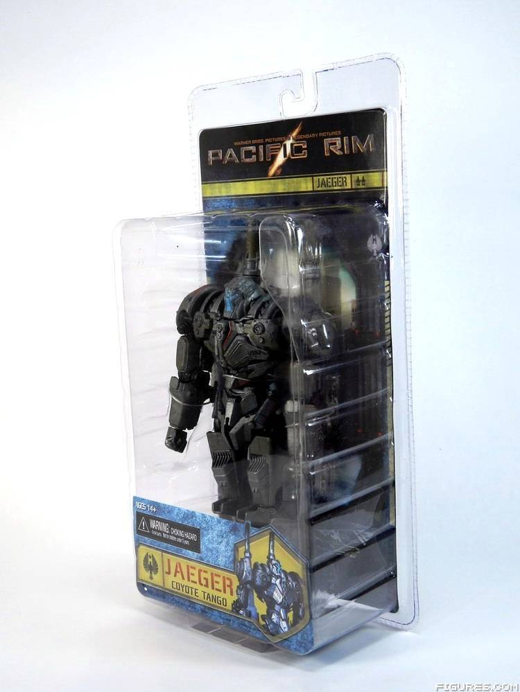 Pacific Rim
