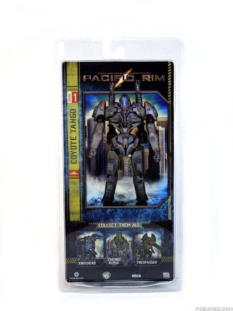 Pacific Rim