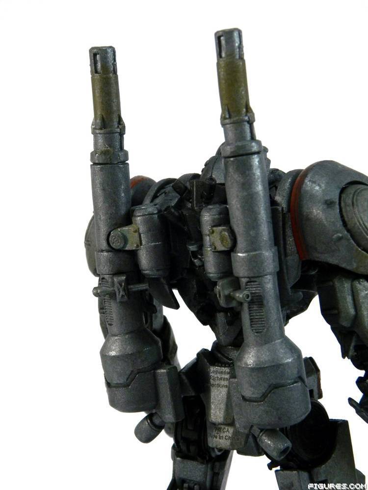 Pacific Rim