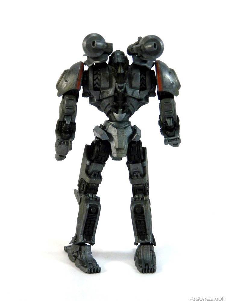 Pacific Rim