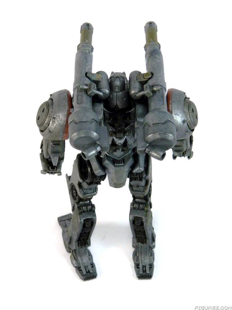 Pacific Rim