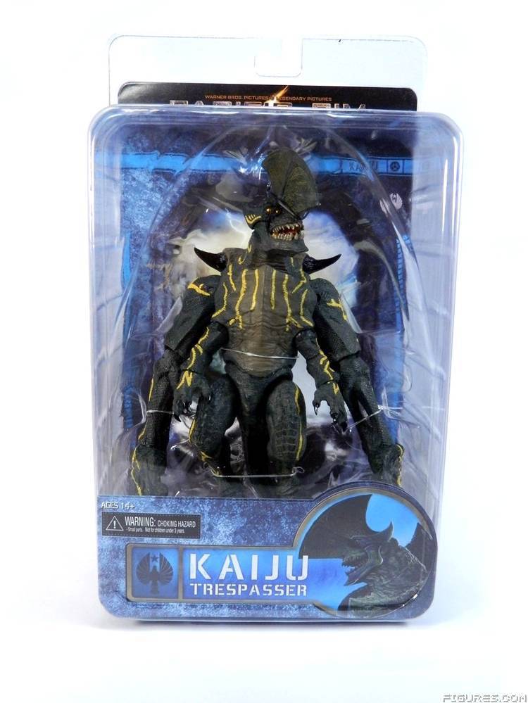 Pacific Rim