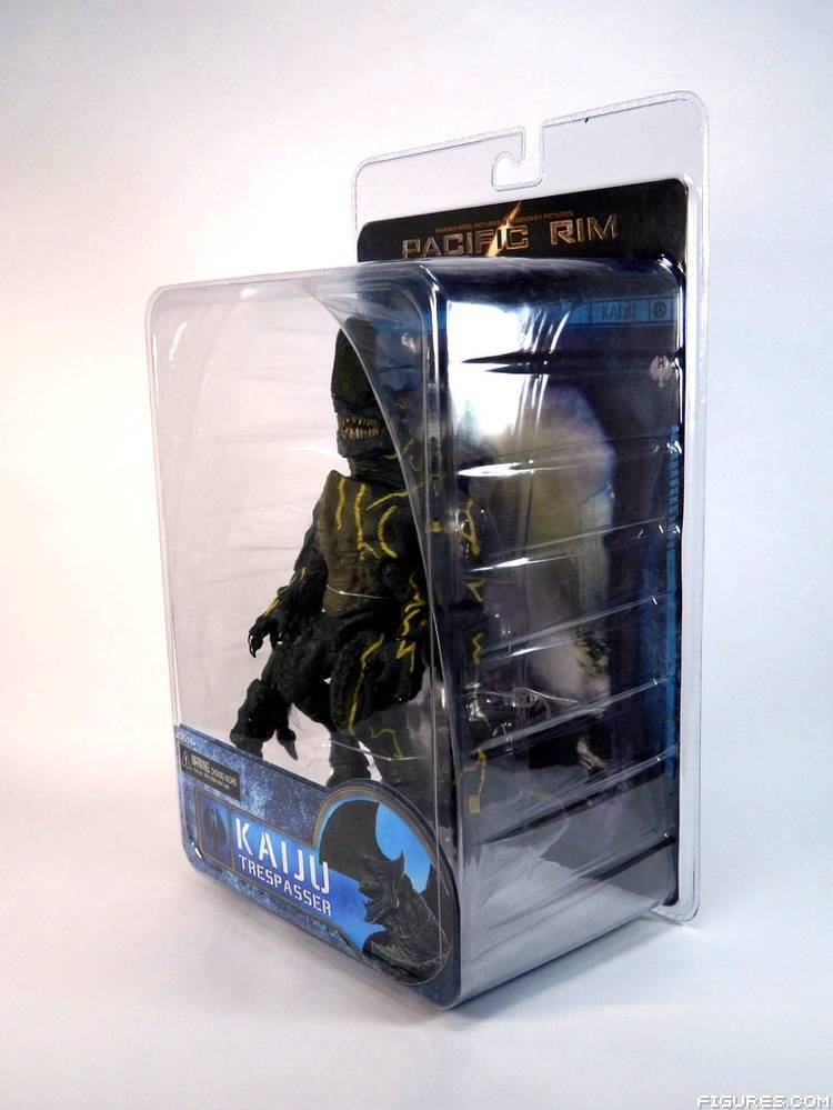 Pacific Rim