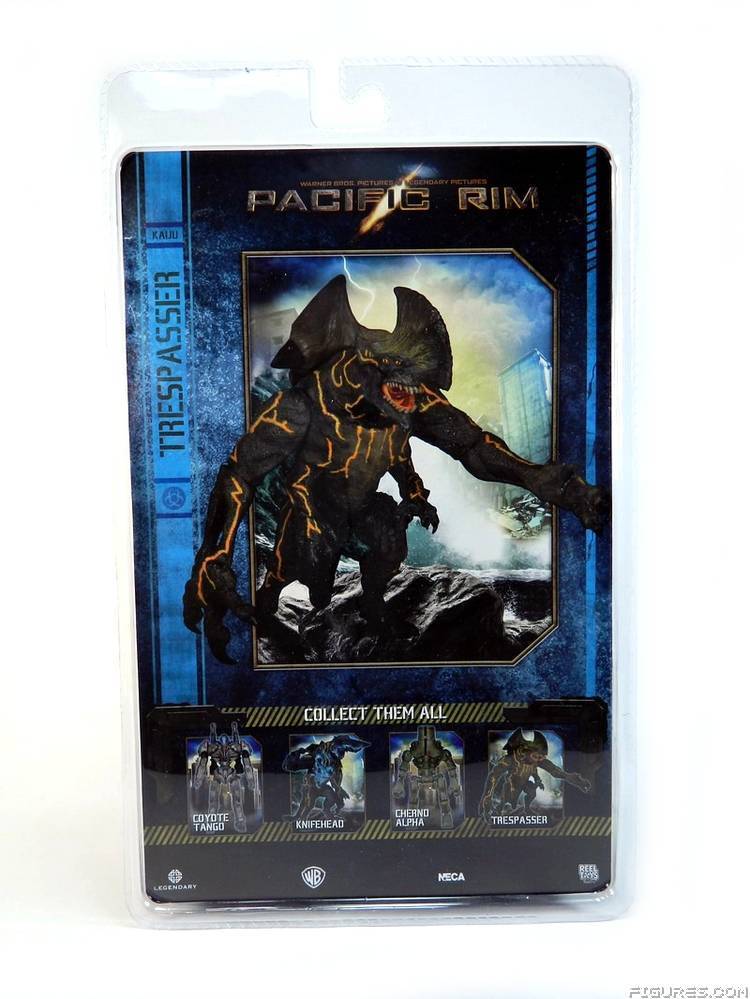 Pacific Rim
