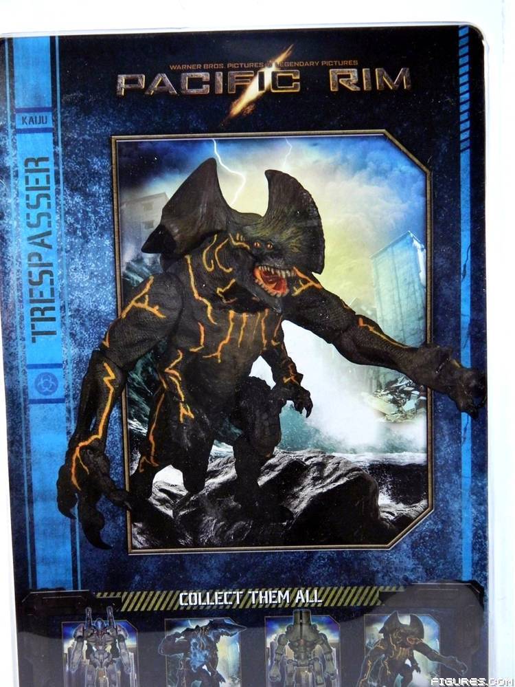 Pacific Rim