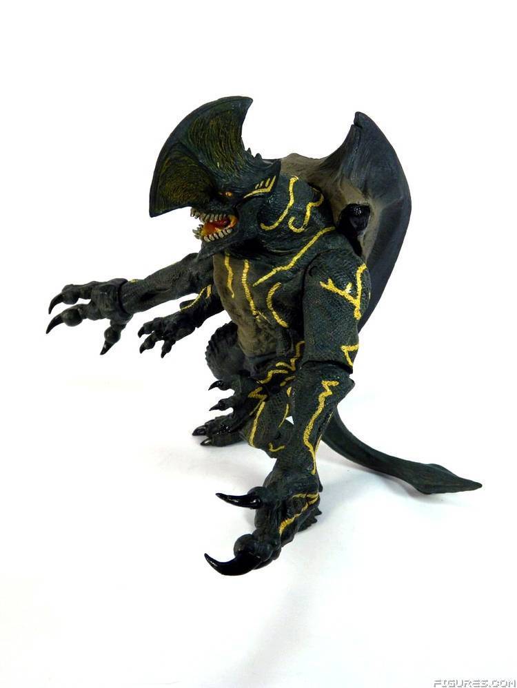 Pacific Rim