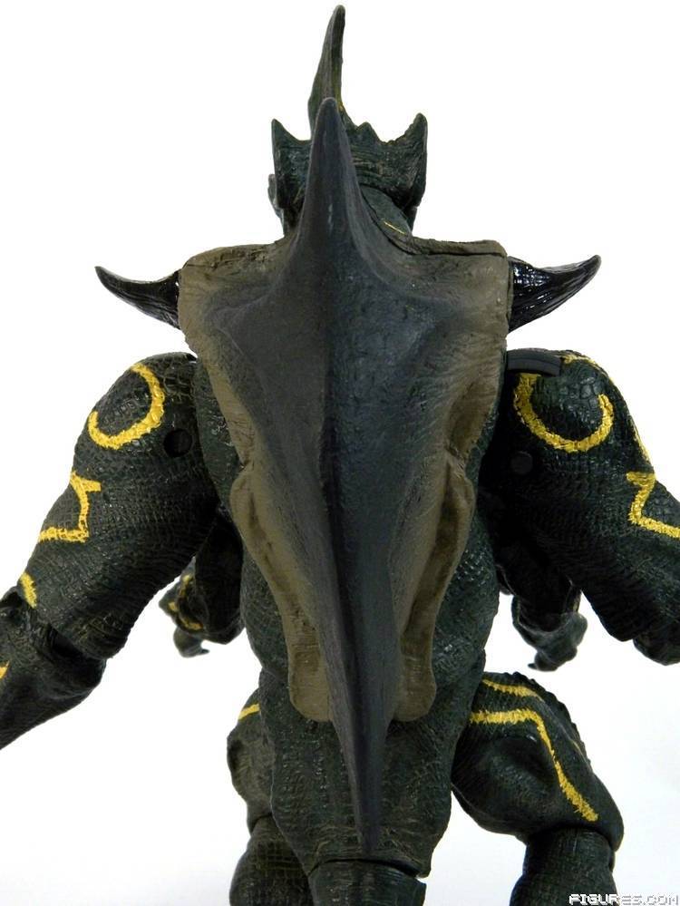 Pacific Rim