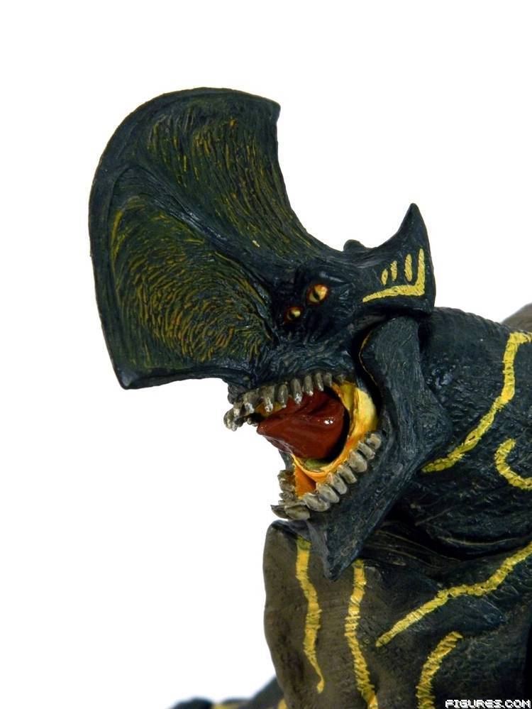 Pacific Rim