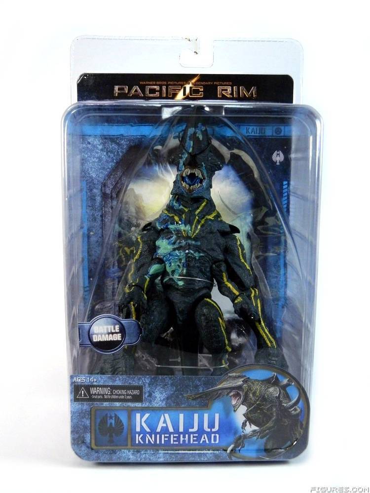 Pacific Rim