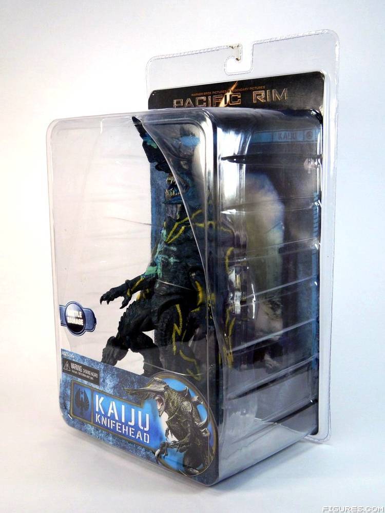 Pacific Rim