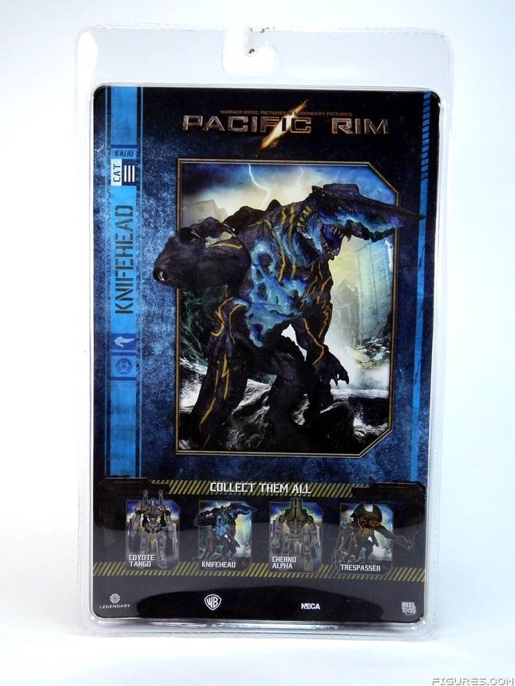 Pacific Rim