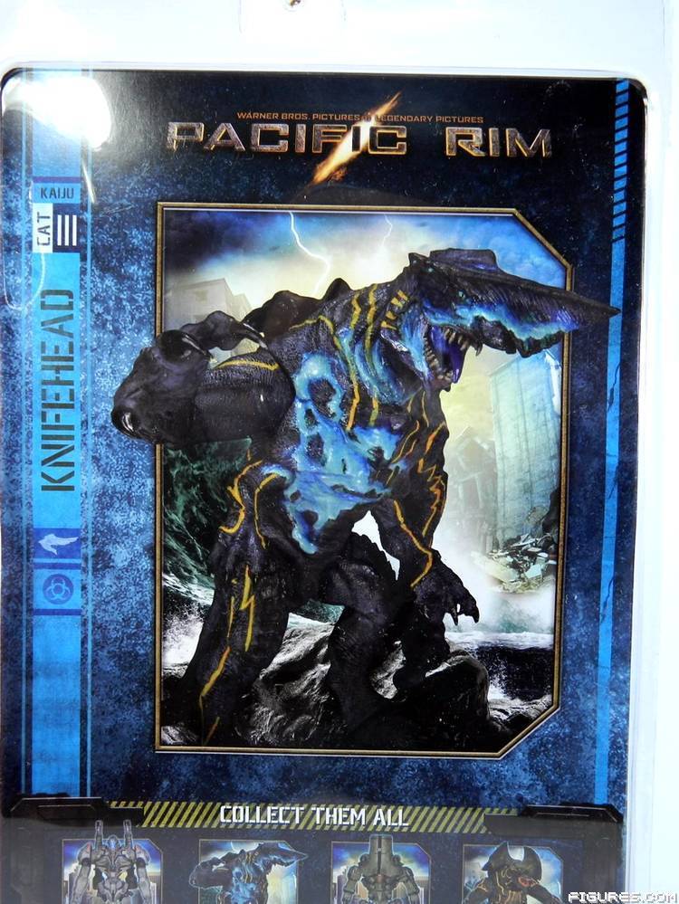 Pacific Rim