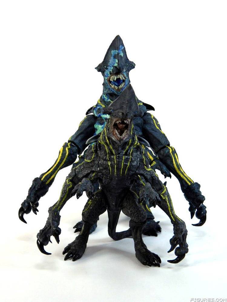 Pacific Rim