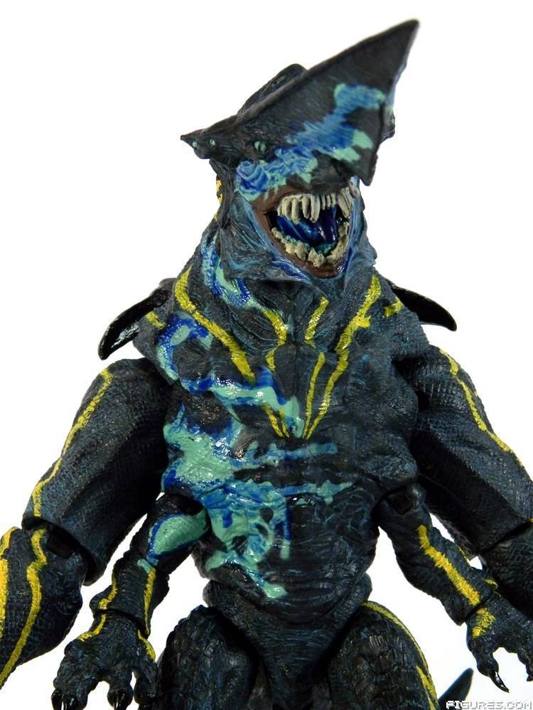 Pacific Rim