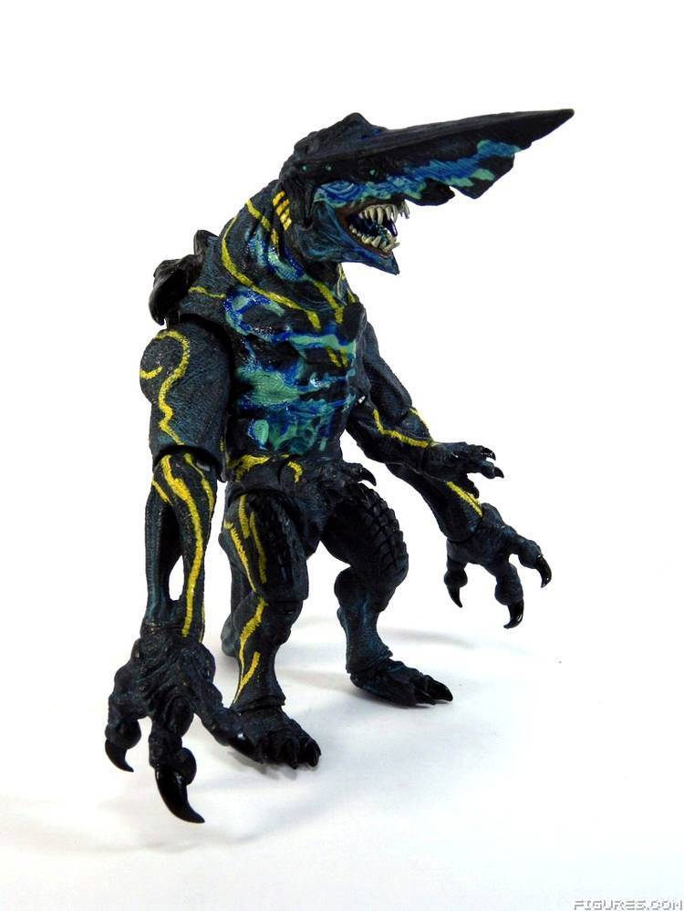 Pacific Rim