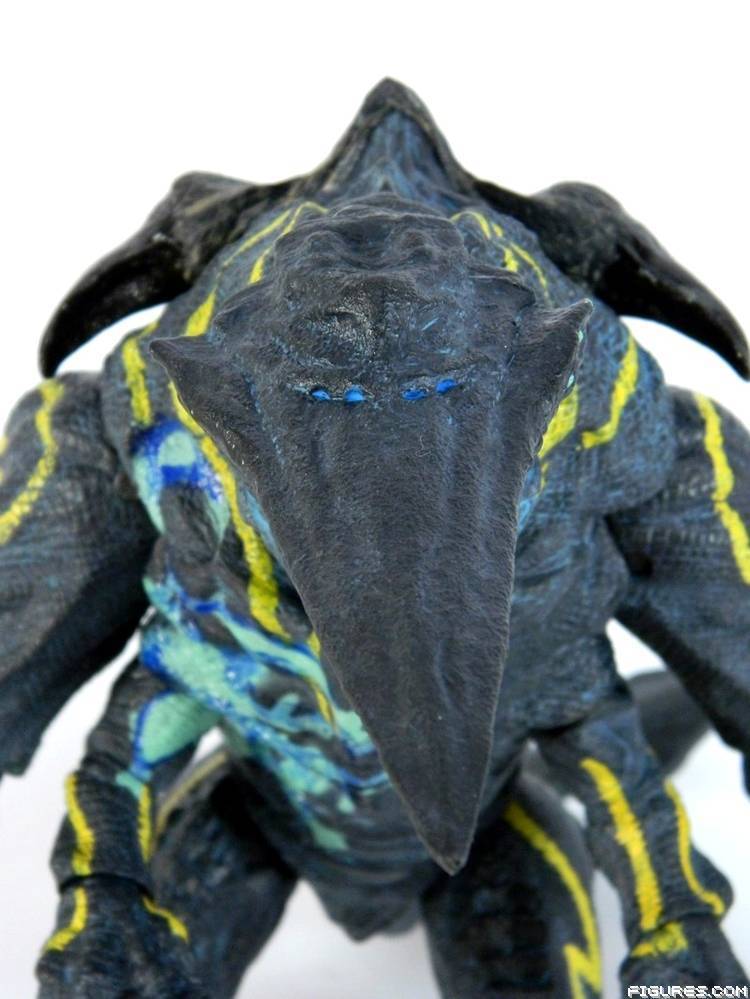 Pacific Rim