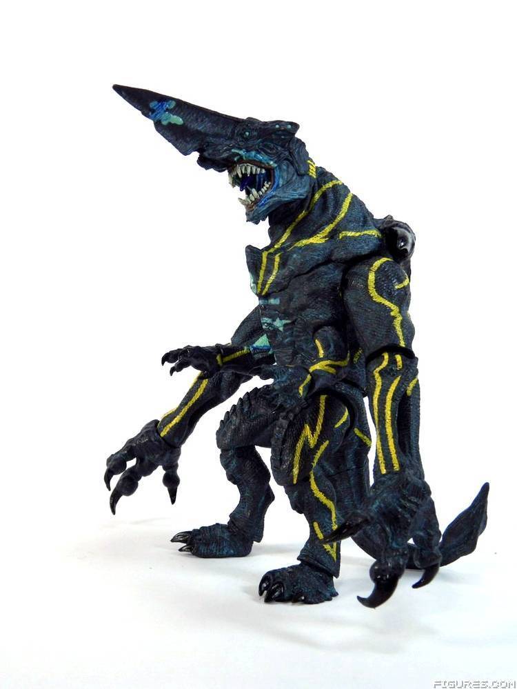 Pacific Rim