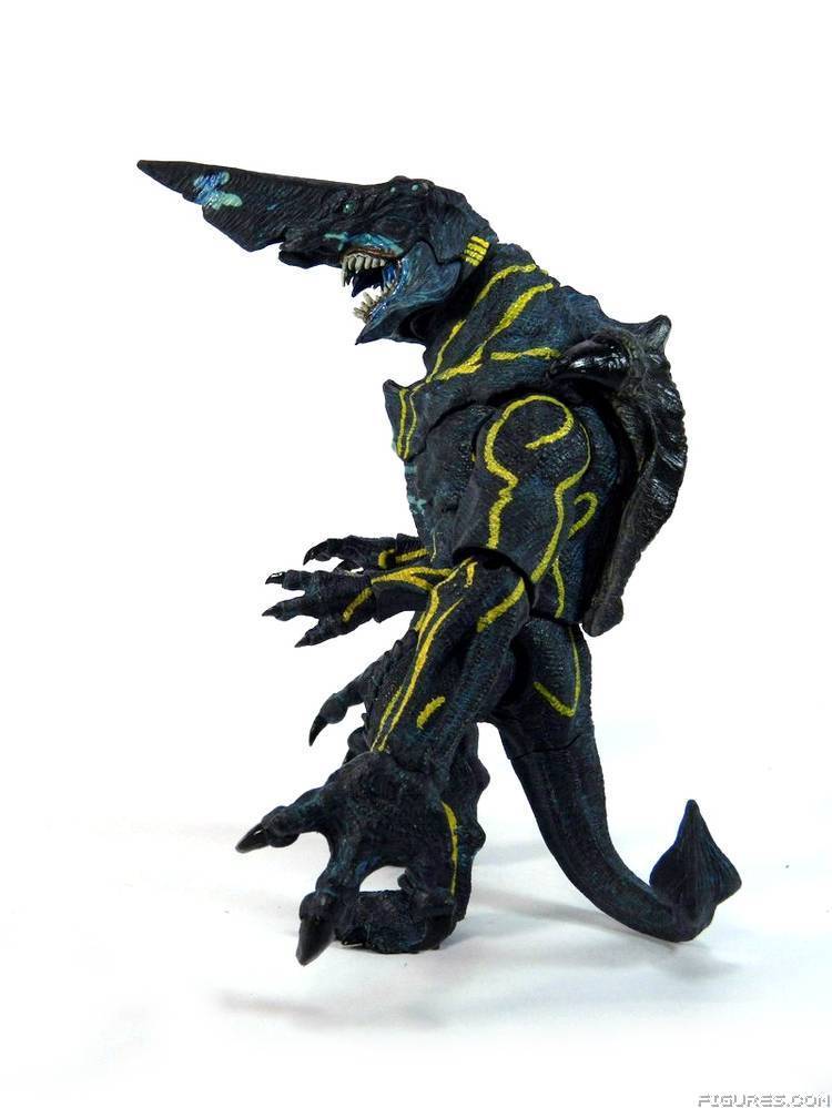 Pacific Rim