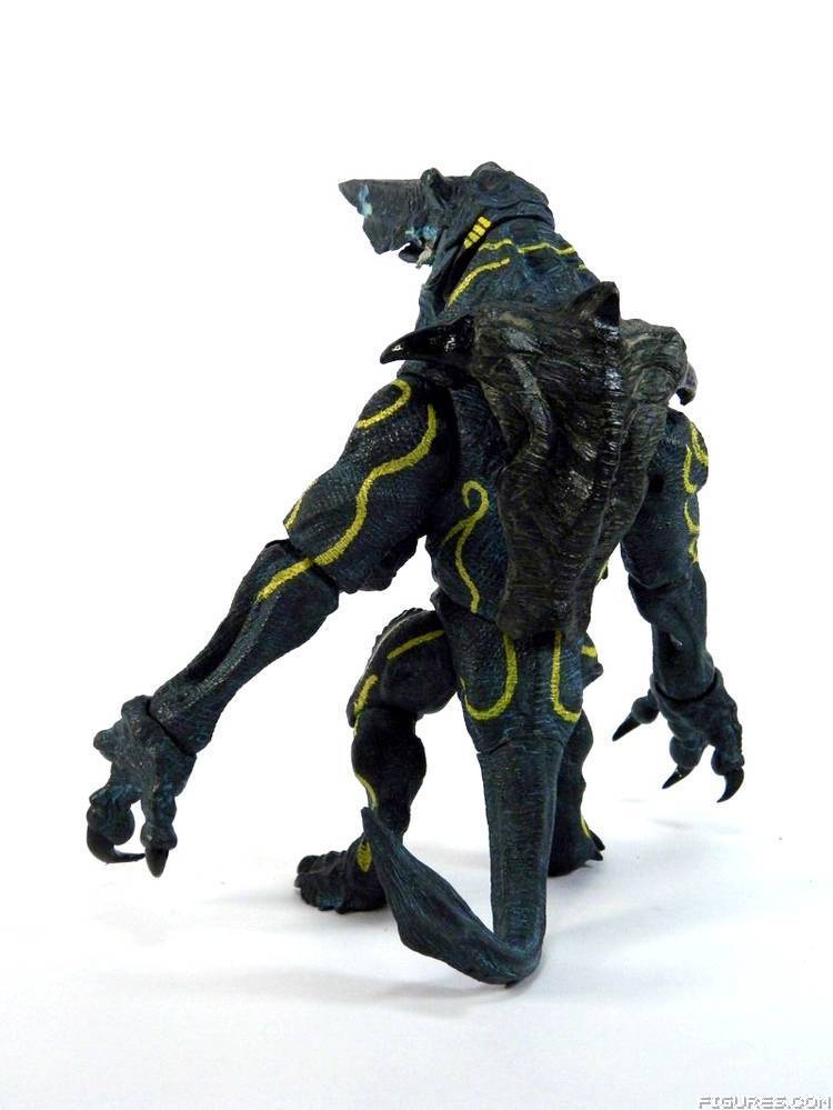 Pacific Rim