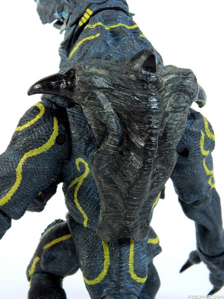 Pacific Rim