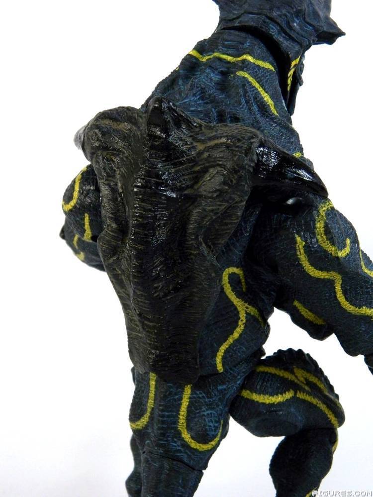 Pacific Rim