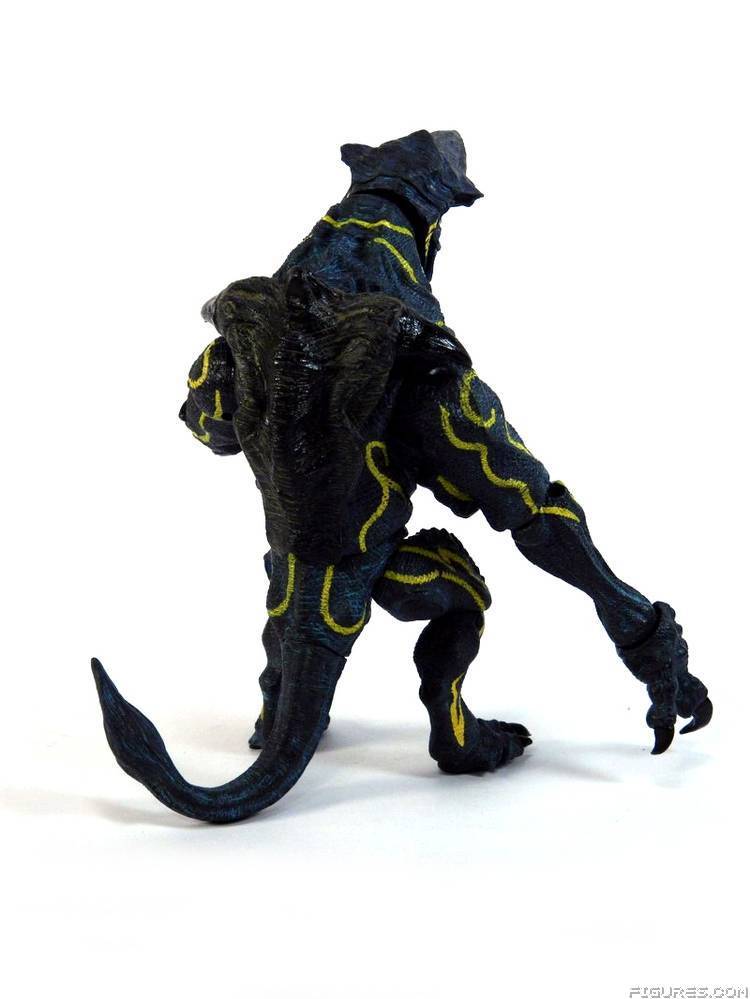 Pacific Rim