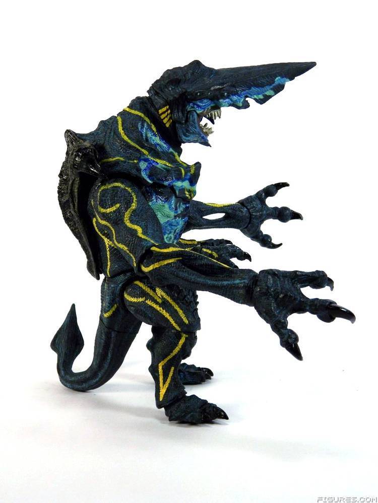 Pacific Rim