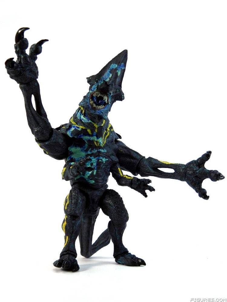 Pacific Rim
