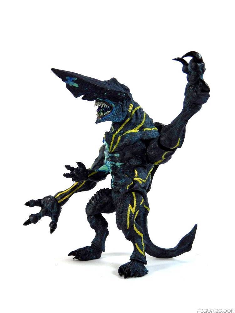 Pacific Rim