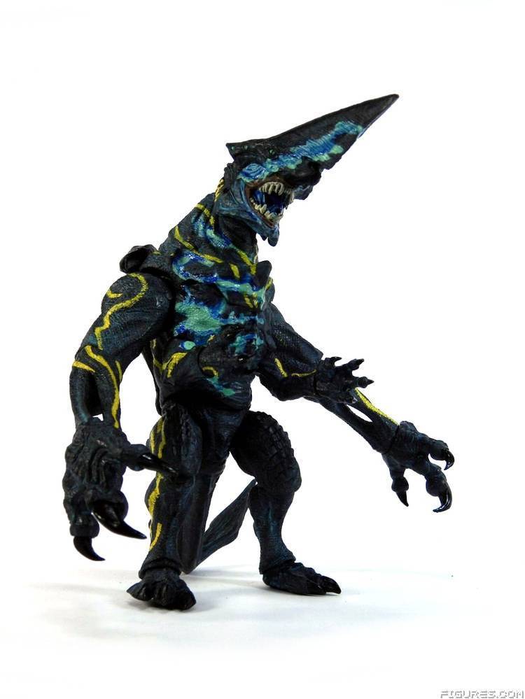 Pacific Rim