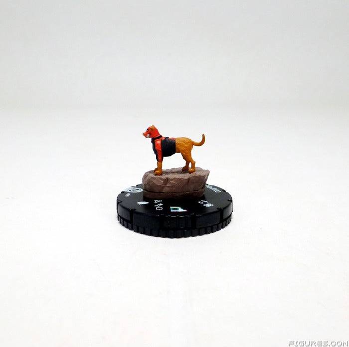 003_Dogpool1